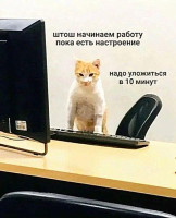 shtosh (1)